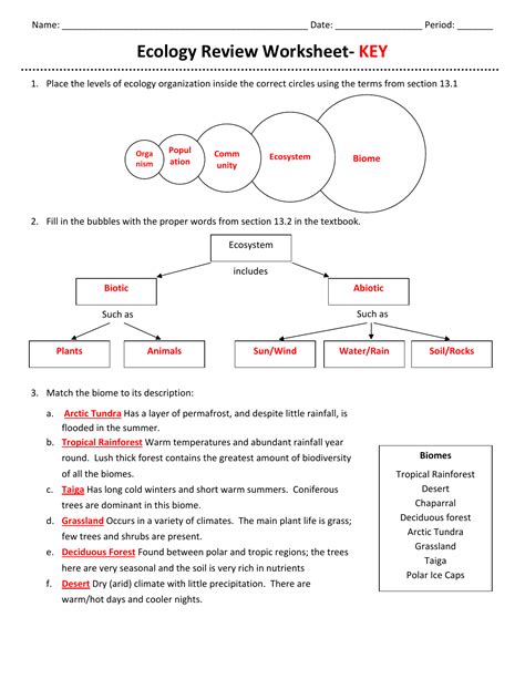 ecology review worksheet pdf